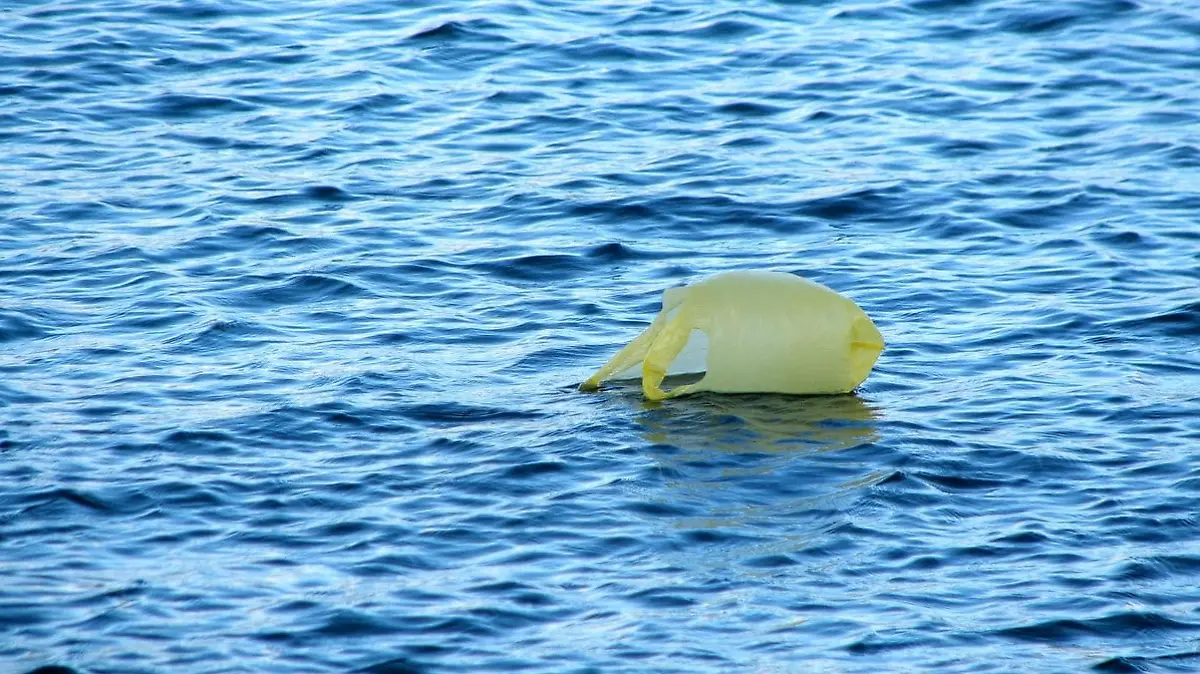 BOLSITA EN EL MAR